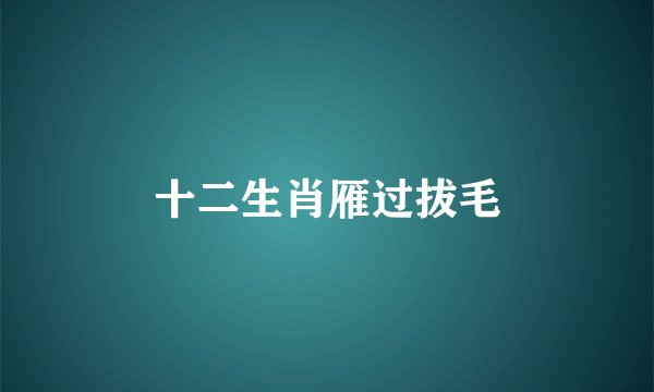 十二生肖雁过拔毛