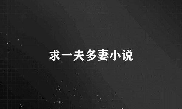求一夫多妻小说