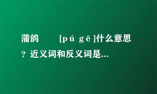 蒲鸽   [pú gē]什么意思？近义词和反义词是什么？英文翻译是什么？