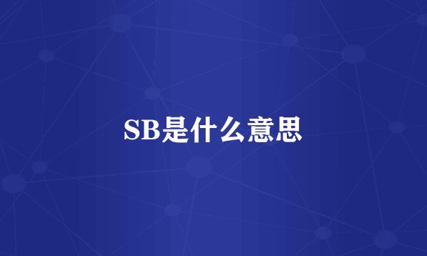SB是什么意思