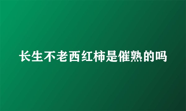 长生不老西红柿是催熟的吗