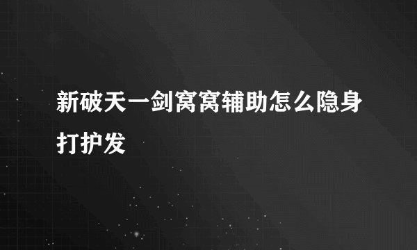 新破天一剑窝窝辅助怎么隐身打护发