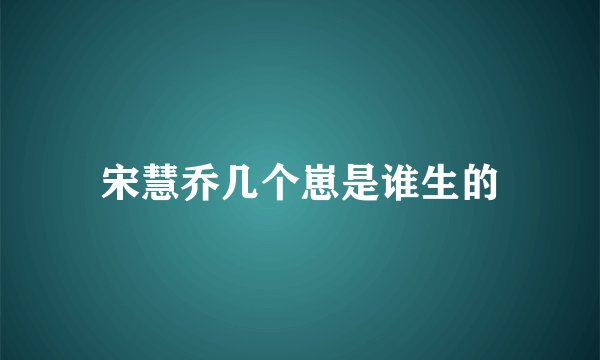 宋慧乔几个崽是谁生的