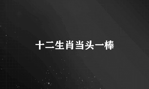 十二生肖当头一棒