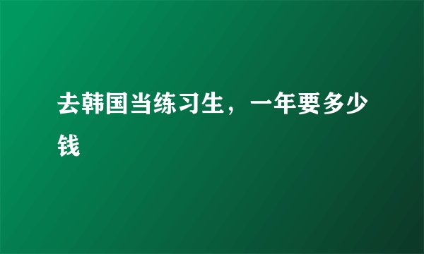 去韩国当练习生，一年要多少钱