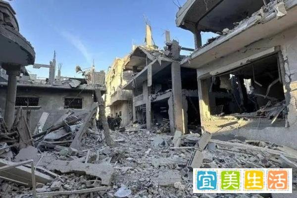 巴勒斯坦难民营的120条生命，隐藏了这些秘密...