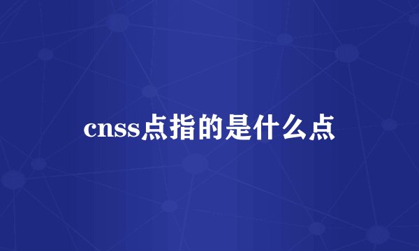 cnss点指的是什么点