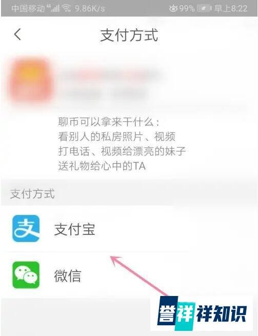 陌聊聊币怎么充
