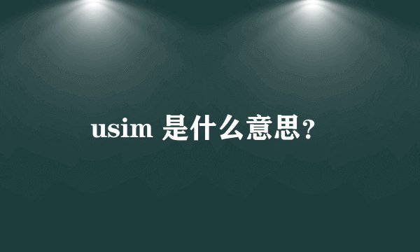 usim 是什么意思？