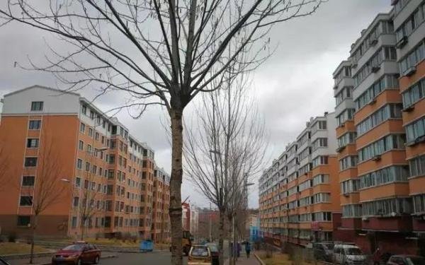 房价倒数第一的鹤岗，经济增速全国第一