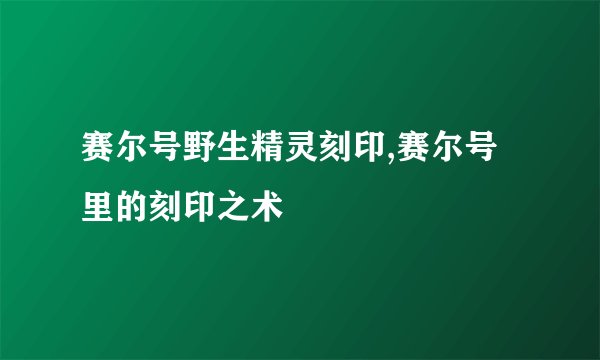 赛尔号野生精灵刻印,赛尔号里的刻印之术