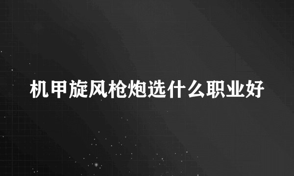 机甲旋风枪炮选什么职业好