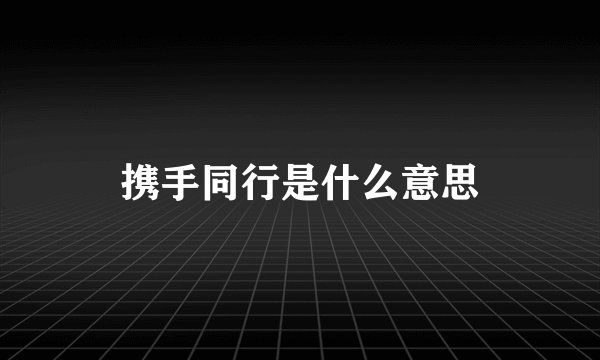 携手同行是什么意思