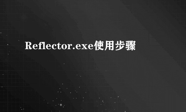 Reflector.exe使用步骤