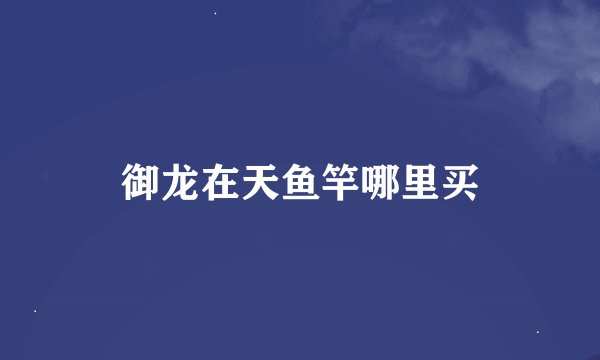 御龙在天鱼竿哪里买