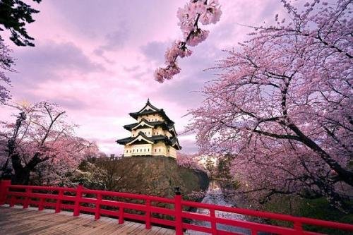 5月赴日旅游仅1700人，什么原因导致游客变少了呢？
