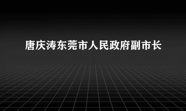 唐庆涛东莞市人民政府副市长