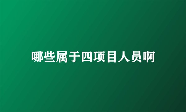 哪些属于四项目人员啊