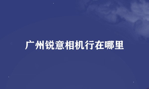 广州锐意相机行在哪里