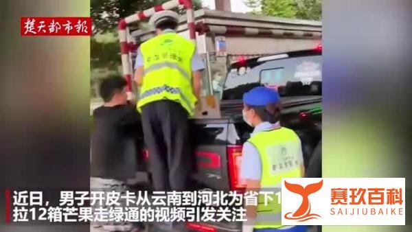 自驾游男子为省1800元过路费拉12箱芒果走绿通，官方回应
