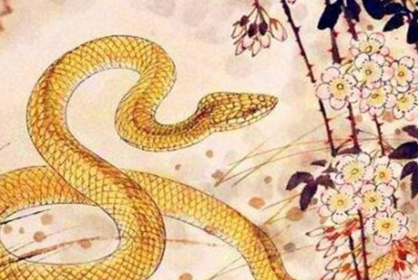 约法三章定律害是什么生肖