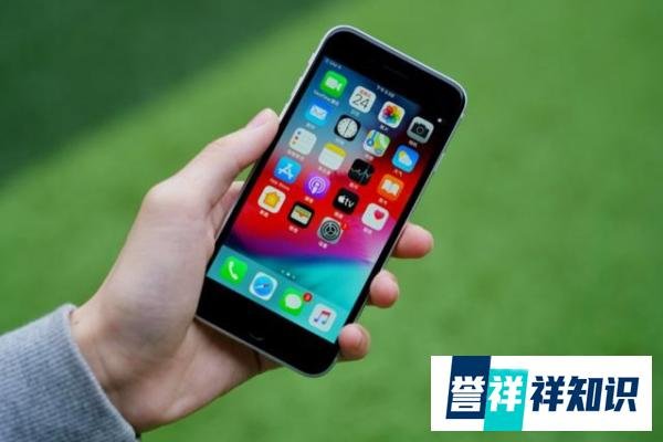 库克真香旗舰终于来了!小屏旗舰iPhoneSE3曝光:A15芯片定价三千元