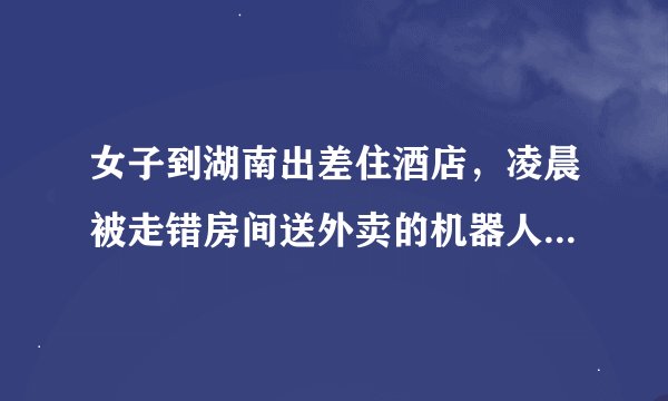 女子到湖南出差住酒店，凌晨被走错房间送外卖的机器人“吓醒”