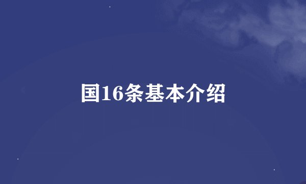 国16条基本介绍