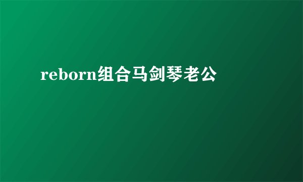 reborn组合马剑琴老公