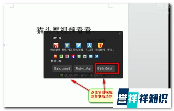 猫头鹰视频看看是真的吗【揭晓骗子】