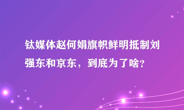 钛媒体赵何娟旗帜鲜明抵制刘强东和京东，到底为了啥？
