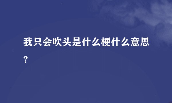 我只会吹头是什么梗什么意思？