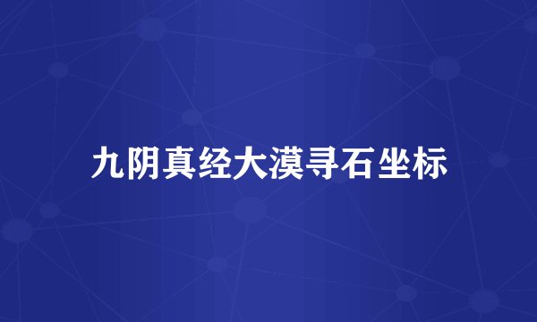 九阴真经大漠寻石坐标