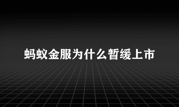 蚂蚁金服为什么暂缓上市