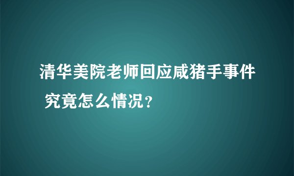 清华美院老师回应咸猪手事件 究竟怎么情况？