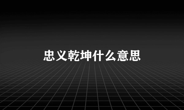 忠义乾坤什么意思