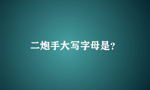 二炮手大写字母是？