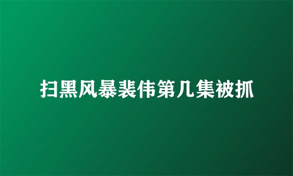 扫黑风暴裴伟第几集被抓