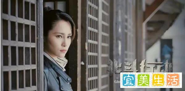 谍战剧《特别行动》今晚开播,剧情新颖扣人心弦,央视又要出爆款