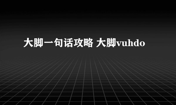 大脚一句话攻略 大脚vuhdo