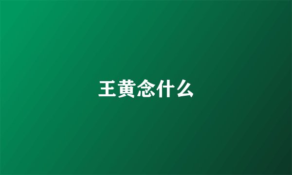 王黄念什么