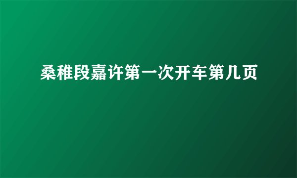 桑稚段嘉许第一次开车第几页