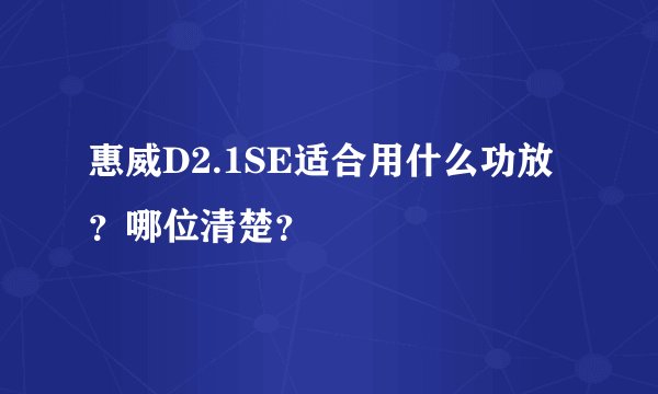 惠威D2.1SE适合用什么功放？哪位清楚？