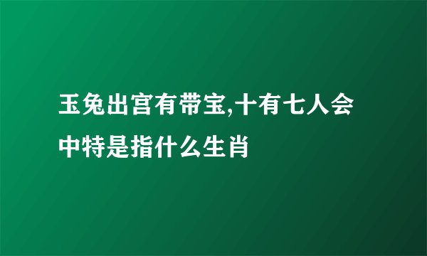玉兔出宫有带宝,十有七人会中特是指什么生肖