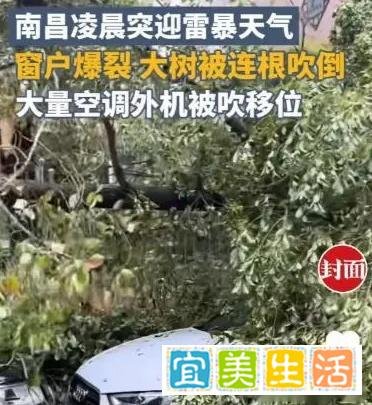 南昌大风事件背后的科学：风速真的能吹动人吗？