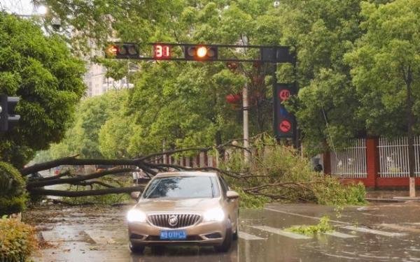 江西抚州12级雷雨大风 堪比台风登陆