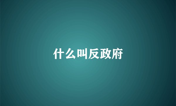 什么叫反政府