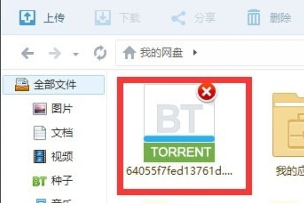 为什么bt下载的种子打不开？