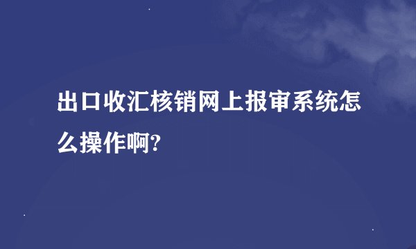 出口收汇核销网上报审系统怎么操作啊?