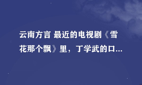 云南方言 最近的电视剧《雪花那个飘》里，丁学武的口头禅“麦麦撒撒”是什么意思。
